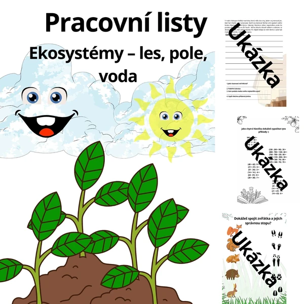 Pracovní listy - Ekosystém