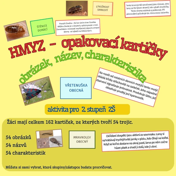 výukové kartičky- HMYZ