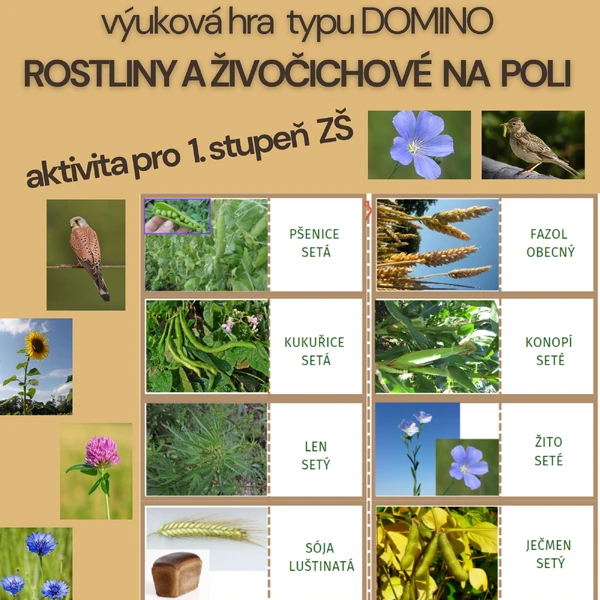 výuková hra DOMINO - ROSTLINY A ŽIVOČICHOVÉ NA POLI