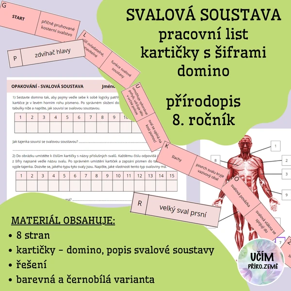 Svalová soustava - opakování (šifry, domino)
