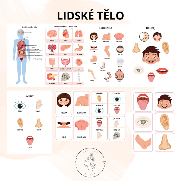 Lidské tělo