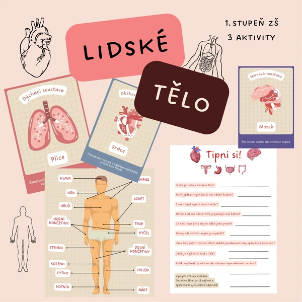 Lidské tělo - karty, popis těla, tipni si!