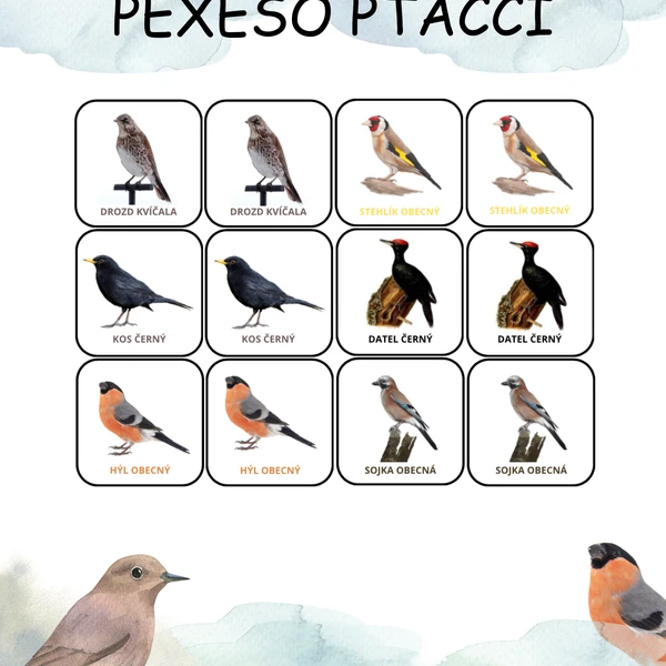 Pexeso Ptáčci z našich krmítek