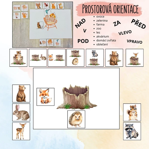 Prostorová orientace - ovoce, zelenina, farma, ZOO, les, akvárium, domácí zvířata, oblečení