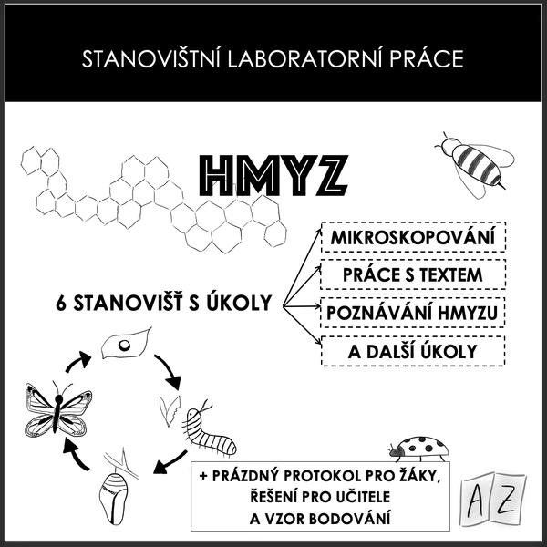 Stanovištní laboratorní práce - hmyz