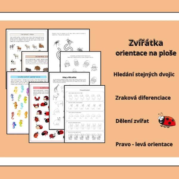 POZNÁVÁME ZVÍŘÁTKA (orientace na ploše)