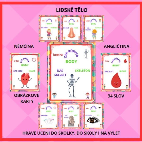 LIDSKÉ TĚLO ANGLICKY A NĚMECKY