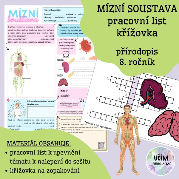 Mízní soustava - pracovní list, křížovka