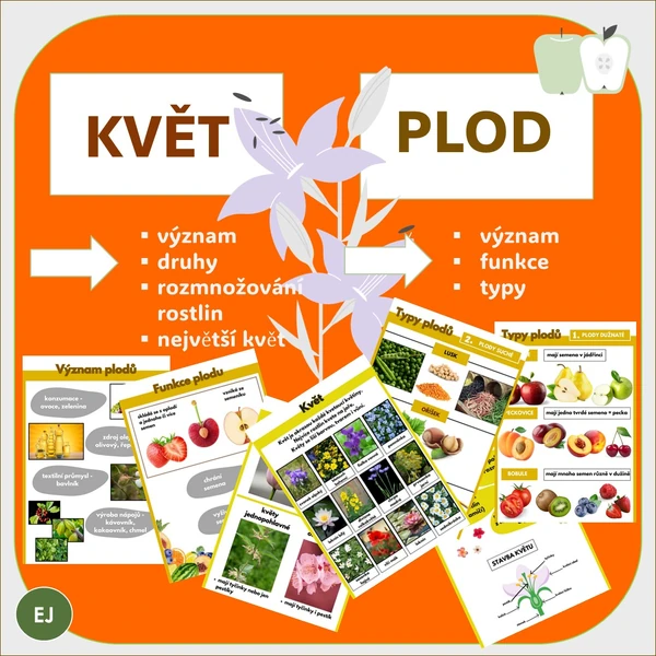 Květ a plod