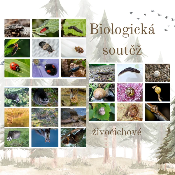 Biologická soutěž - živočichové