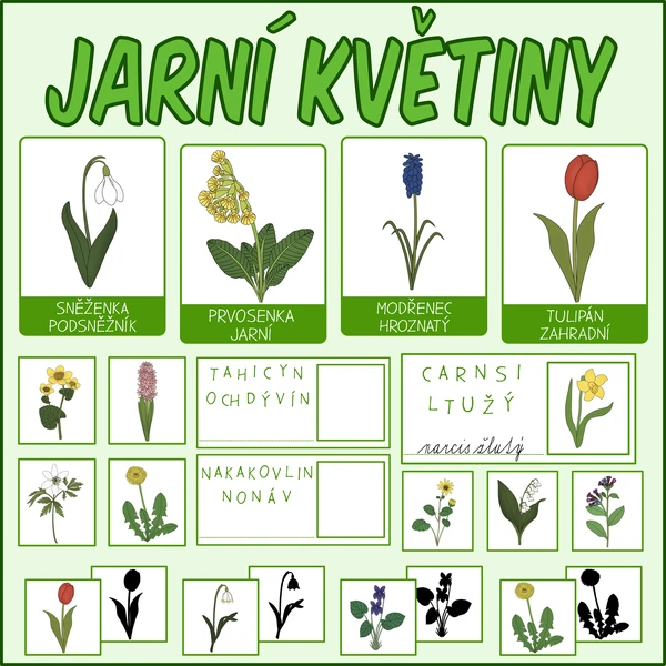Jarní květiny