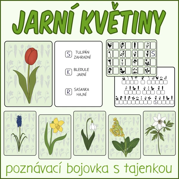 Bojovka - Jarní květiny