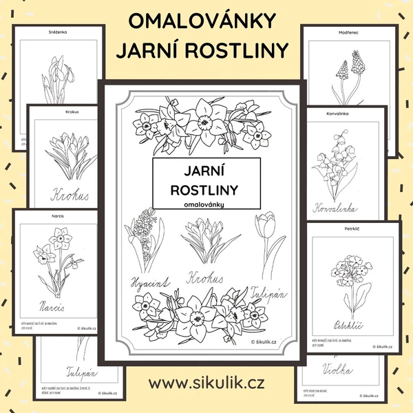 JARNÍ ROSTLINY OMALOVÁNKY+ PEXESO 