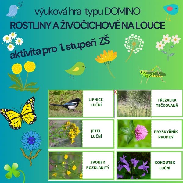 výuková hra typu DOMINO - ROSTLINY A ŽIVOČICHOVÉ NA LOUCE