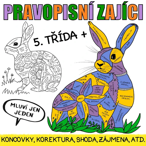 PRAVOPISNÍ ZAJÍCI - vyjmenovaná slova, koncovky, zájmena, shoda, korektura
