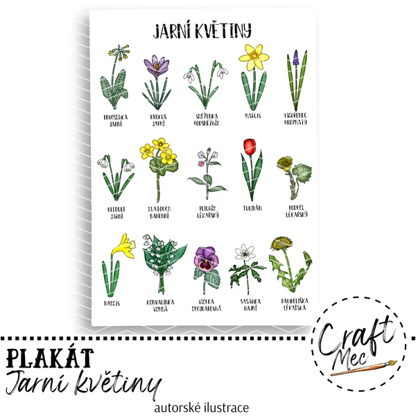 JARNÍ KVĚTINY - PLAKÁT