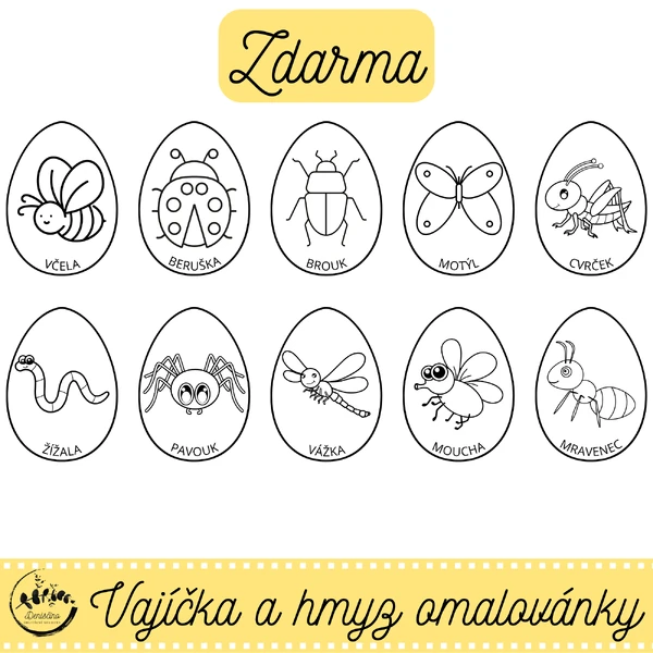 Omalovánky Vajíčka a hmyz ZDARMA