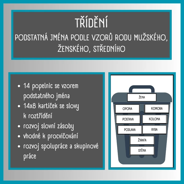 Třídění - podstatná jména podle vzorů rodu mužského, ženského, středního