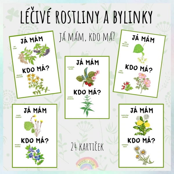 Já mám, kdo má? Léčivé rostliny a bylinky
