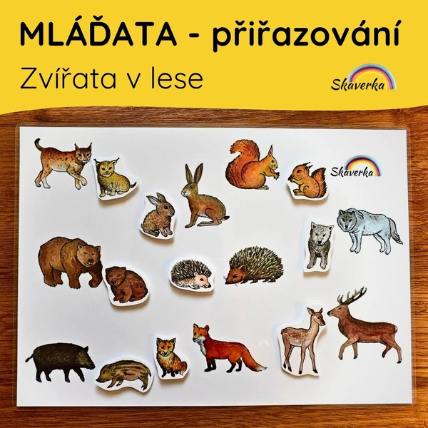 MLÁĎATA - zvířata v lese