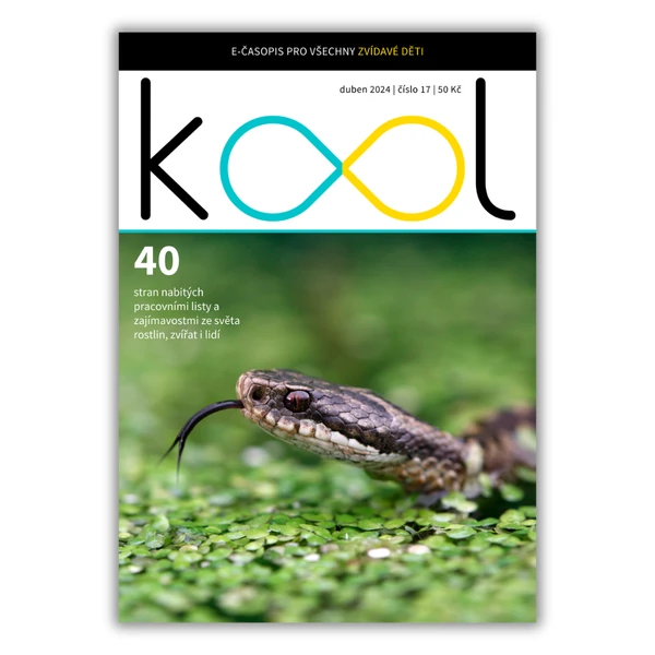KOOL 04/2024