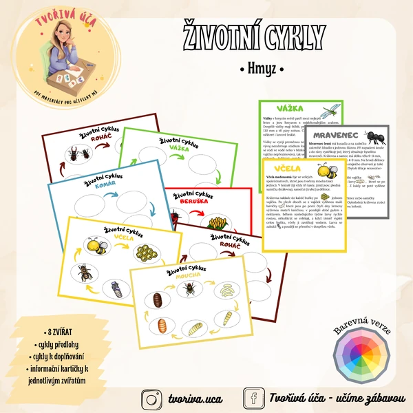 Životní cyklus - Hmyz 