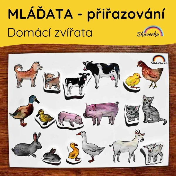 MLÁĎATA - domácí zvířata