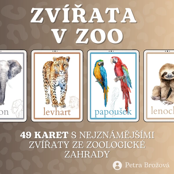 Výukové karty "ZVÍŘATA V ZOO"