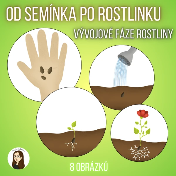 Vývojové fáze rostlin