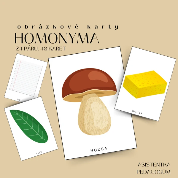 Homonyma - obrázkové karty