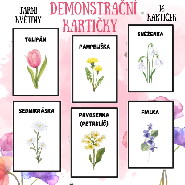 Demonstrační kartičky - jarní květiny