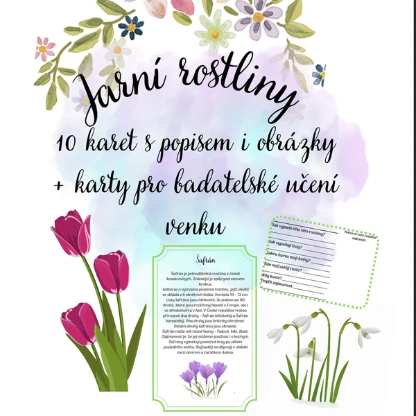Jarní rostliny - učení venku