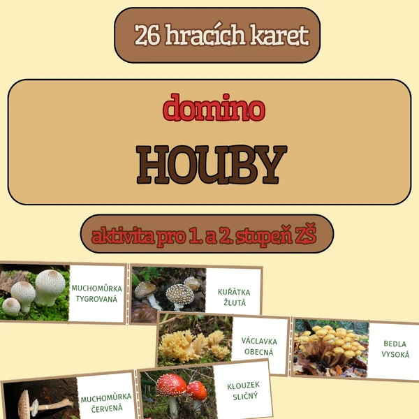 výuková hra typu domino HOUBY