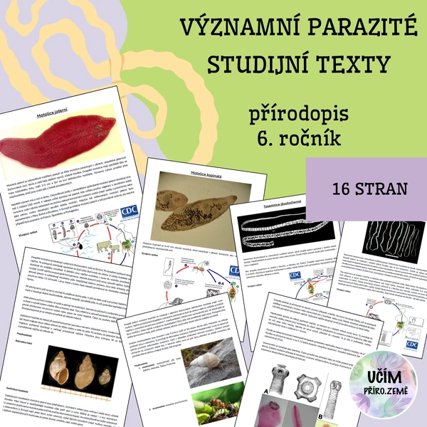 Tasemnice, motolice, hlístice - studijní texty na skupinovou práci