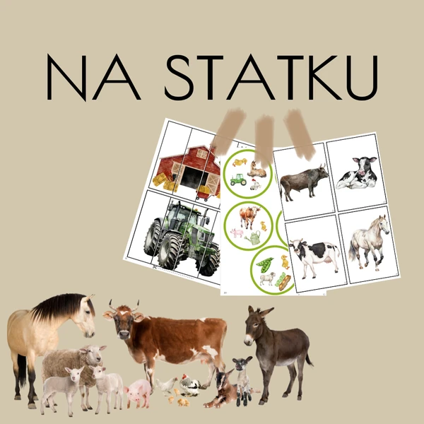 NA STATKU