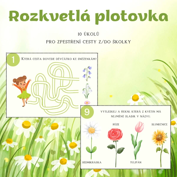 Rozkvetlá plotovka