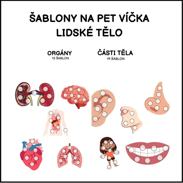 Lidské tělo - šablony na PET víčka