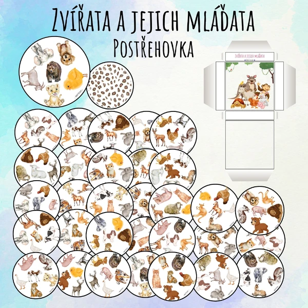 Zvířata a jejich mláďata - POSTŘEHOVKA