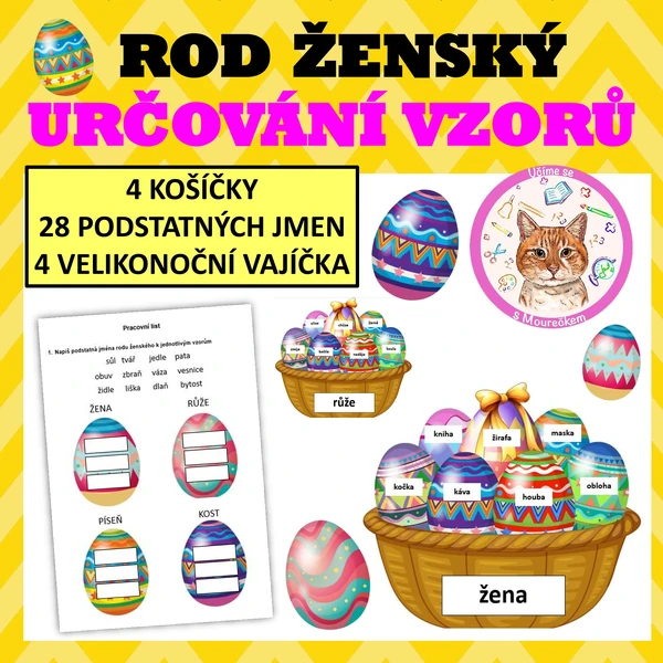 ROD ŽENSKÝ - Určování vzorů