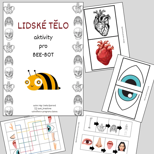 LIDSKÉ TĚLO  BEE-BOT