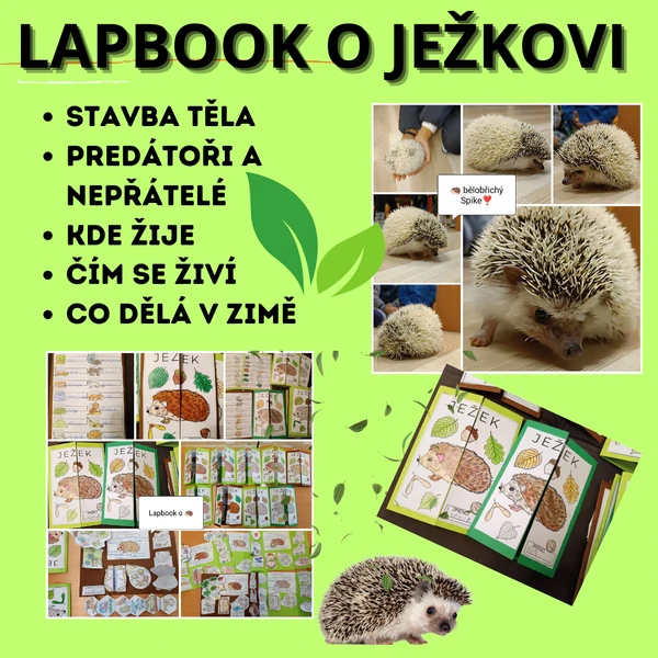 Lapbook o ježkovi