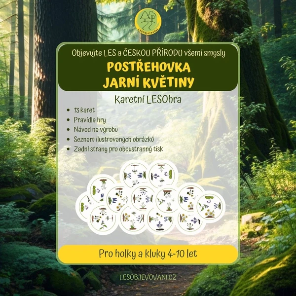 POSTŘEHOVKA JARNÍ KVĚTINY