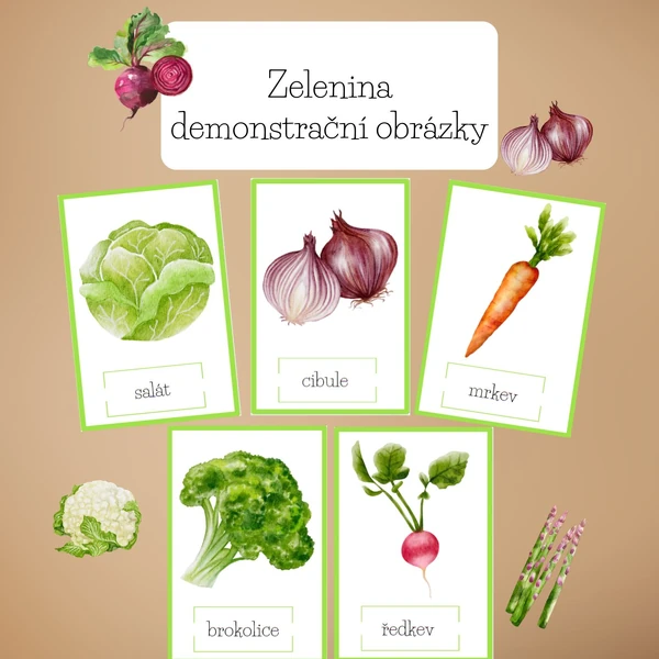 Zelenina- demonstrační obrázky 
