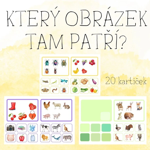 Doplň správný obrázek