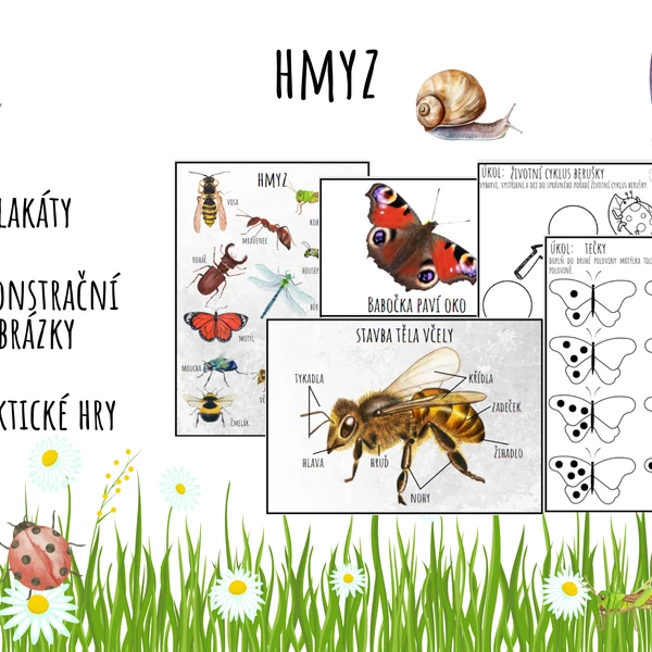 Hmyz, Život v trávě, Já mám- Kdo má ?