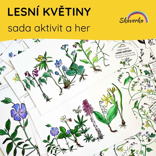 LESNÍ KVĚTINY - sada aktivit a her