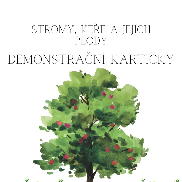 STROMY, KEŘE a jejich plody