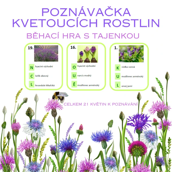 Poznávačka rostlin - běhací hra s tajenkou