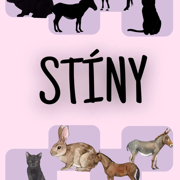 Stíny - domácí zvířátka