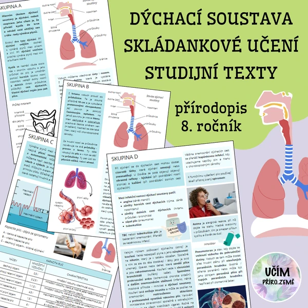 Dýchací soustava - skládankové učení, výukové texty